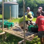 Kikori Turtle Rangers