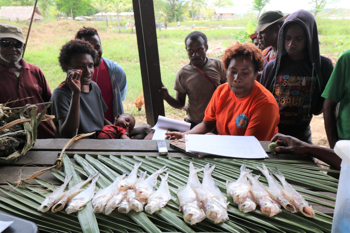 fisheries surveys at the Kikori